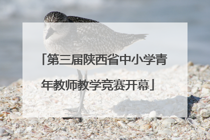 第三届陕西省中小学青年教师教学竞赛开幕