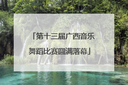 第十三届广西音乐舞蹈比赛圆满落幕