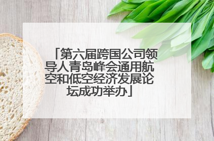 第六届跨国公司领导人青岛峰会通用航空和低空经济发展论坛成功举办
