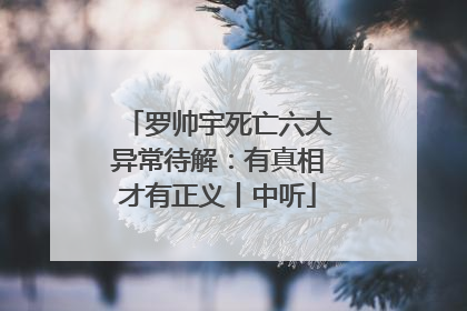 罗帅宇死亡六大异常待解：有真相才有正义丨中听