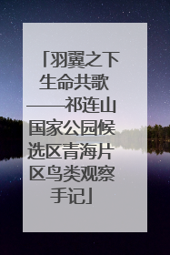 羽翼之下 生命共歌——祁连山国家公园候选区青海片区鸟类观察手记