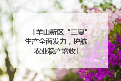 羊山新区“三夏”生产全面发力，护航农业稳产增收