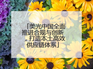 美光中国全面推进合规与创新，打造本土高效供应链体系