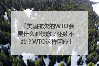 美国拖欠的WTO会费什么时候缴？还续不续？WTO这样回应