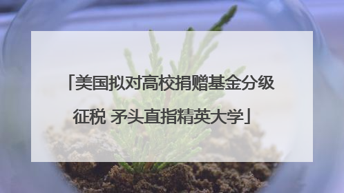 美国拟对高校捐赠基金分级征税 矛头直指精英大学