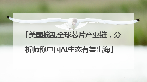 美国搅乱全球芯片产业链，分析师称中国AI生态有望出海