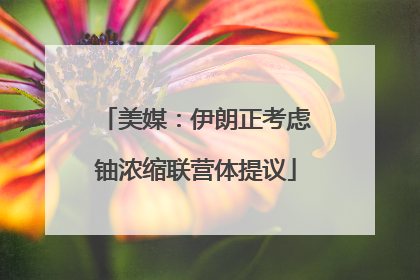 美媒：伊朗正考虑铀浓缩联营体提议