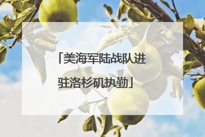 美海军陆战队进驻洛杉矶执勤