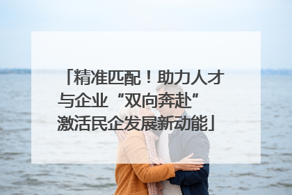 精准匹配！助力人才与企业“双向奔赴” 激活民企发展新动能