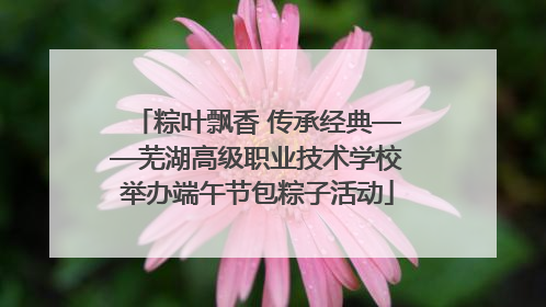 粽叶飘香 传承经典——芜湖高级职业技术学校举办端午节包粽子活动