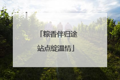 粽香伴归途 站点绽温情
