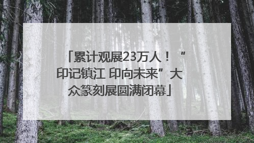 累计观展23万人！“印记镇江 印向未来”大众篆刻展圆满闭幕