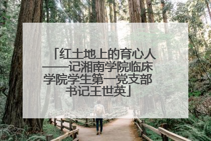 红土地上的育心人——记湘南学院临床学院学生第一党支部书记王世英