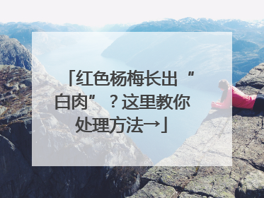 红色杨梅长出“白肉”？这里教你处理方法→