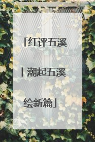红评五溪丨潮起五溪绘新篇