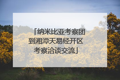 纳米比亚考察团到湘潭天易经开区考察洽谈交流