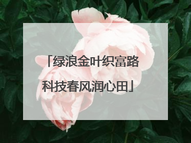 绿浪金叶织富路 科技春风润心田