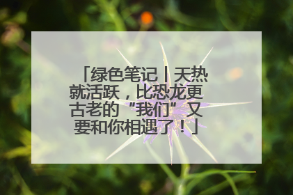 绿色笔记丨天热就活跃，比恐龙更古老的“我们”又要和你相遇了！