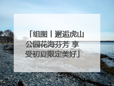 组图丨邂逅虎山公园花海芬芳 享受初夏限定美好
