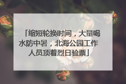 缩短轮换时间，大量喝水防中暑，北海公园工作人员顶着烈日验票