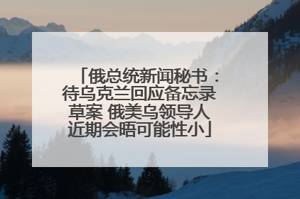 俄总统新闻秘书：待乌克兰回应备忘录草案 俄美乌领导人近期会晤可能性小