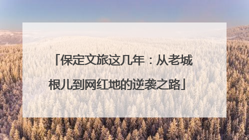 保定文旅这几年：从老城根儿到网红地的逆袭之路