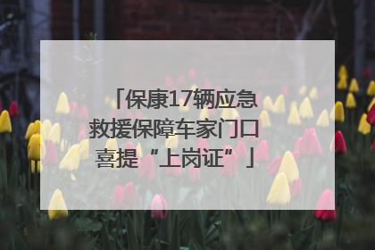 保康17辆应急救援保障车家门口喜提“上岗证”