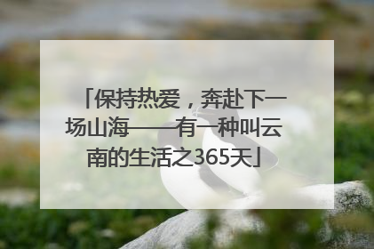 保持热爱，奔赴下一场山海——有一种叫云南的生活之365天