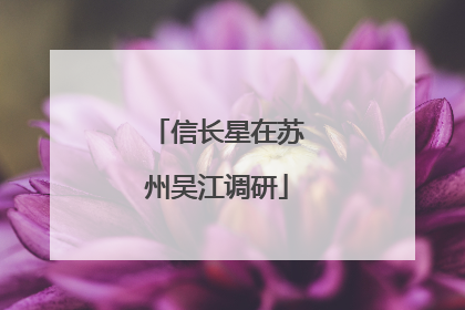 信长星在苏州吴江调研