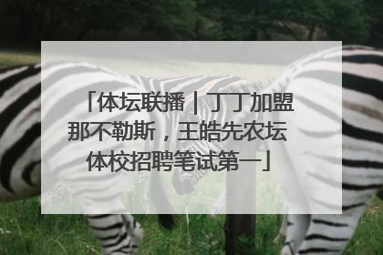 体坛联播｜丁丁加盟那不勒斯，王皓先农坛体校招聘笔试第一