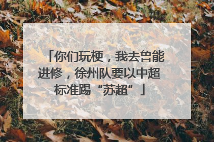 你们玩梗，我去鲁能进修，徐州队要以中超标准踢“苏超”