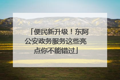 便民新升级！东阿公安政务服务这些亮点你不能错过