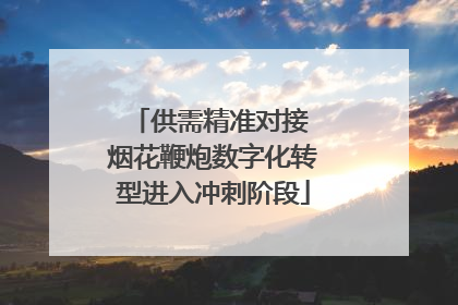 供需精准对接 烟花鞭炮数字化转型进入冲刺阶段