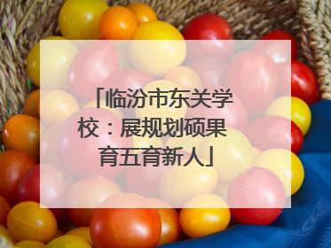 临汾市东关学校：展规划硕果 育五育新人