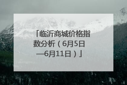 临沂商城价格指数分析（6月5日—6月11日）