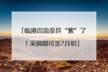 临港百亩桑葚“紫”了！采摘期可至7月初
