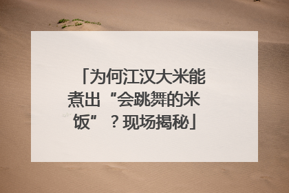 为何江汉大米能煮出“会跳舞的米饭”？现场揭秘