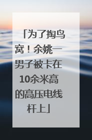 为了掏鸟窝！余姚一男子被卡在10余米高的高压电线杆上
