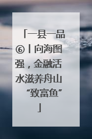 一县一品⑥丨向海图强，金融活水滋养舟山“致富鱼”
