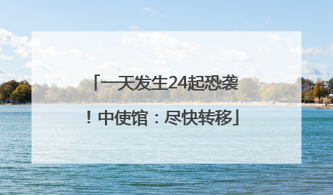 一天发生24起恐袭！中使馆：尽快转移