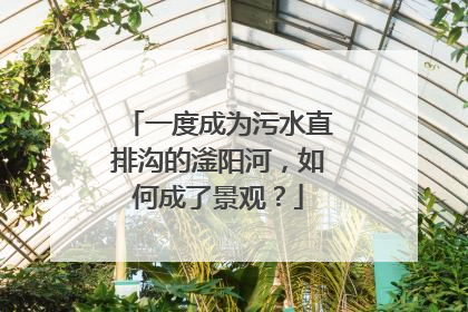 一度成为污水直排沟的滏阳河，如何成了景观？