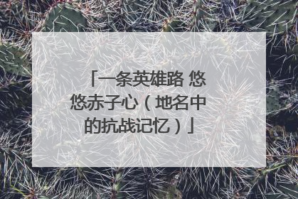 一条英雄路 悠悠赤子心（地名中的抗战记忆）
