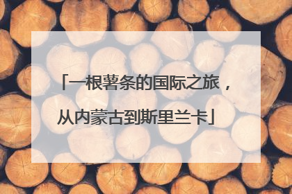 一根薯条的国际之旅，从内蒙古到斯里兰卡