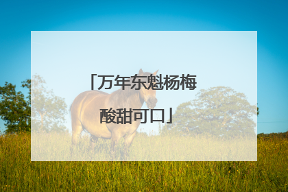 万年东魁杨梅 酸甜可口