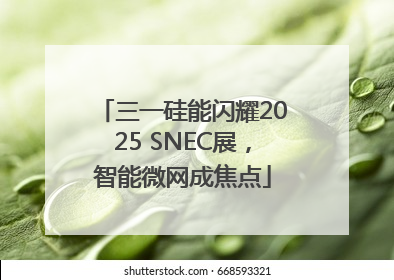 三一硅能闪耀2025 SNEC展，智能微网成焦点