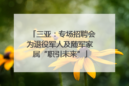 三亚：专场招聘会为退役军人及随军家属“职引未来”