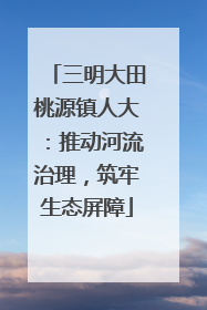 三明大田桃源镇人大：推动河流治理，筑牢生态屏障