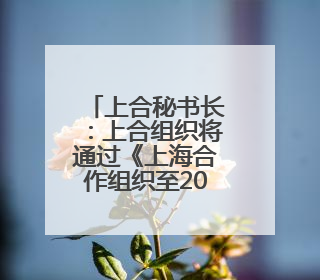 上合秘书长：上合组织将通过《上海合作组织至2035年发展战略》