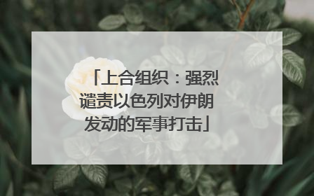 上合组织：强烈谴责以色列对伊朗发动的军事打击