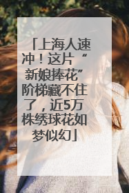 上海人速冲！这片“新娘捧花”阶梯藏不住了，近5万株绣球花如梦似幻